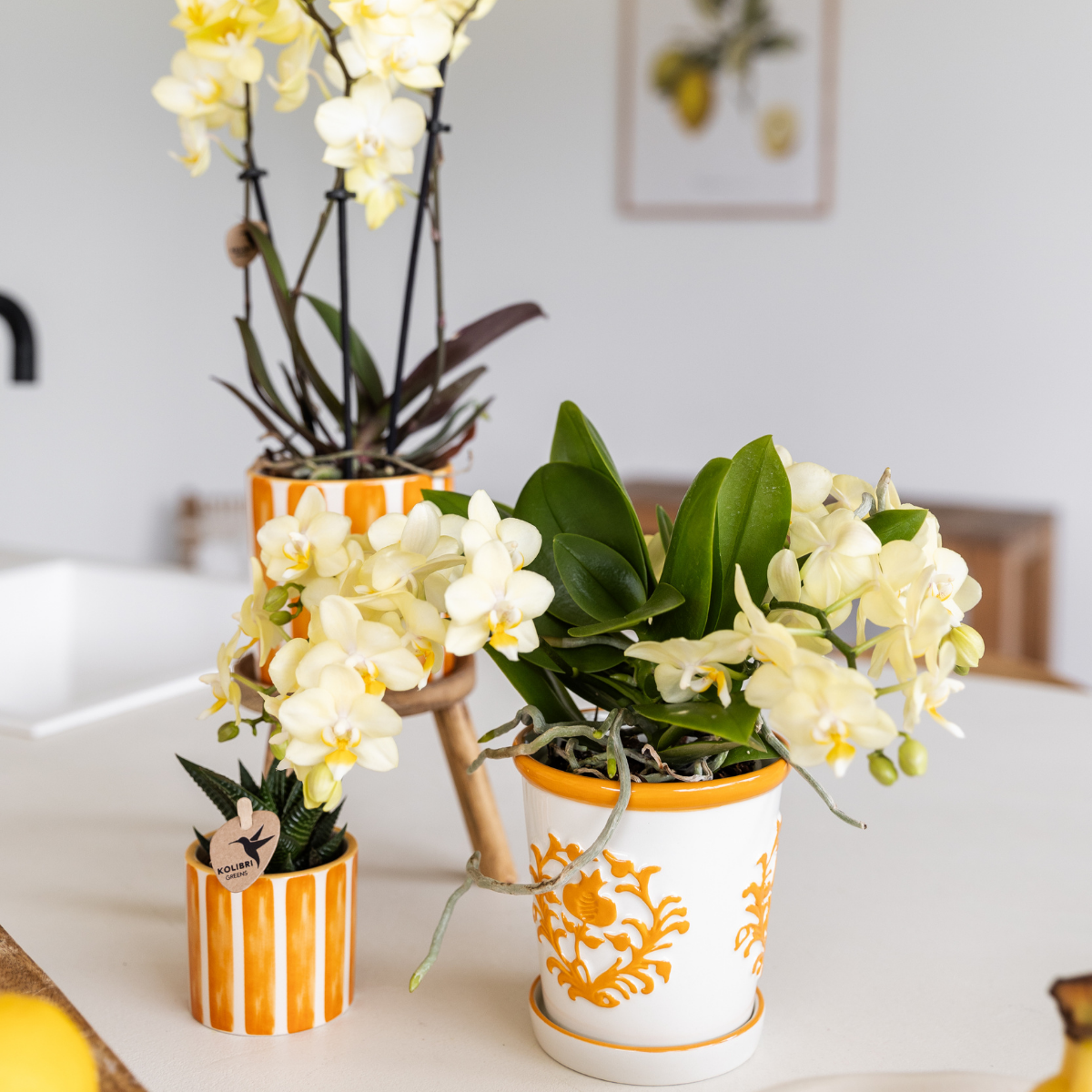 Oranje Malaga bloempot voor orchidee – keramische sierpot Ø9 cm