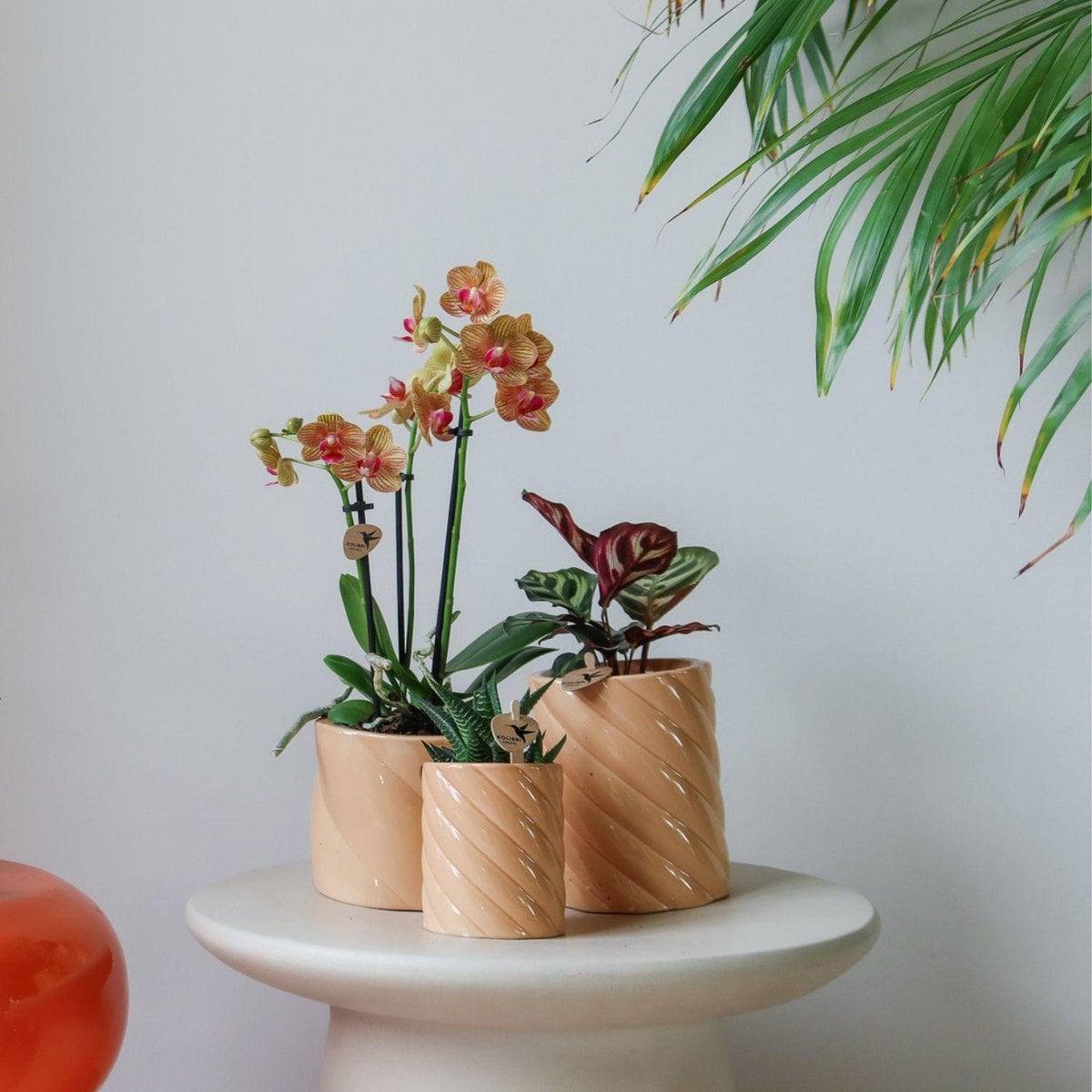 Perzikkleurige Candy bloempot voor orchidee – keramische sierpot Ø9 cm