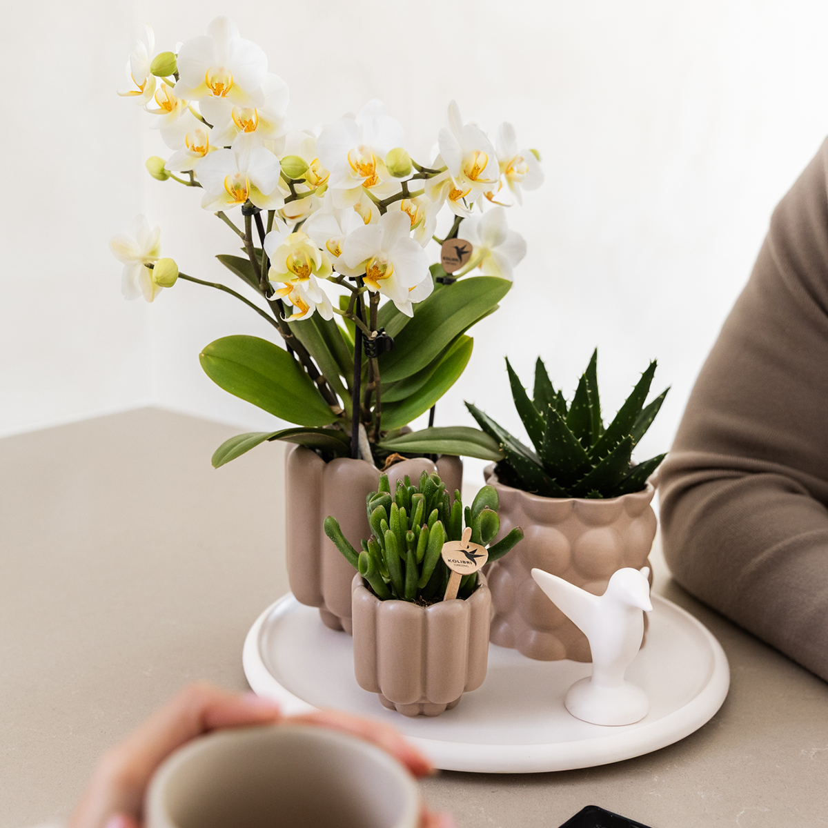 Zandkleurige Retro bloempot voor orchidee – keramische sierpot Ø9 cm