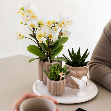 Zandkleurige Retro bloempot voor orchidee – keramische sierpot Ø9 cm