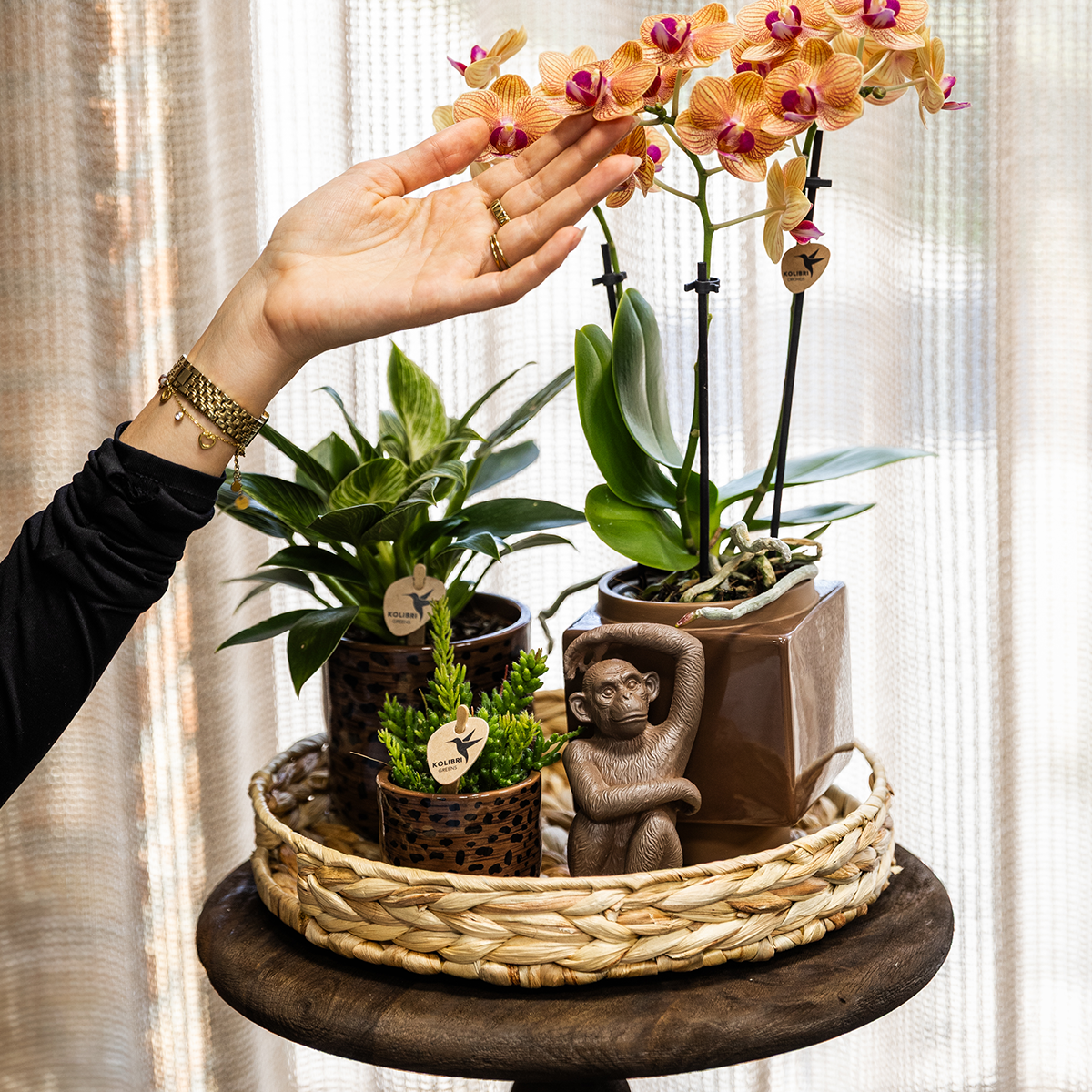 Bruine Leopard bloempot voor orchidee – keramische sierpot Ø9 cm