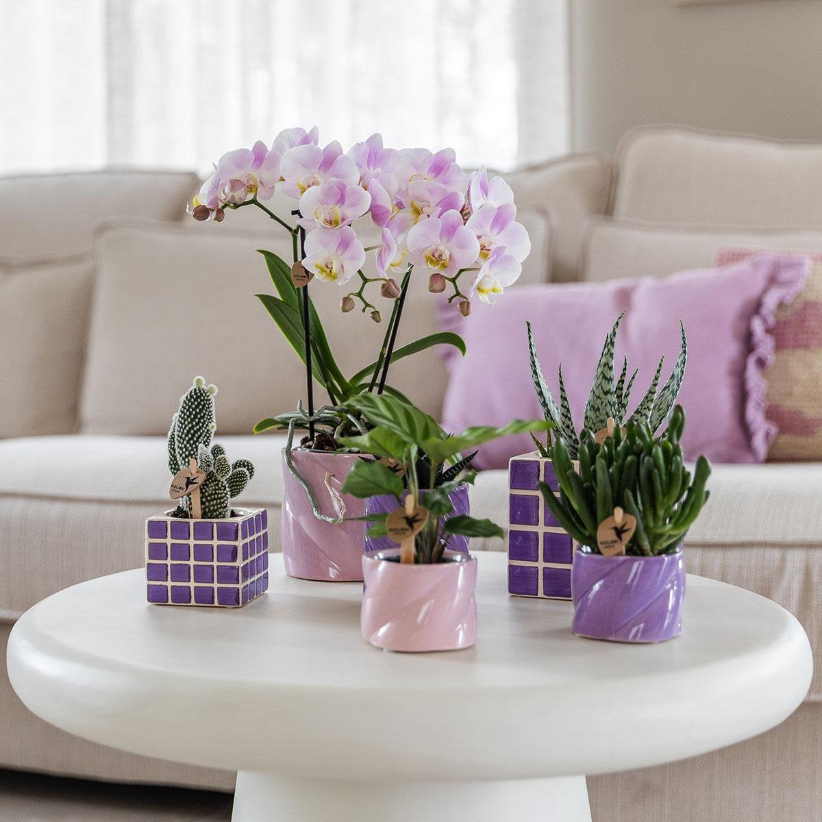 Roze Candy bloempot voor orchidee – keramische sierpot Ø9 cm