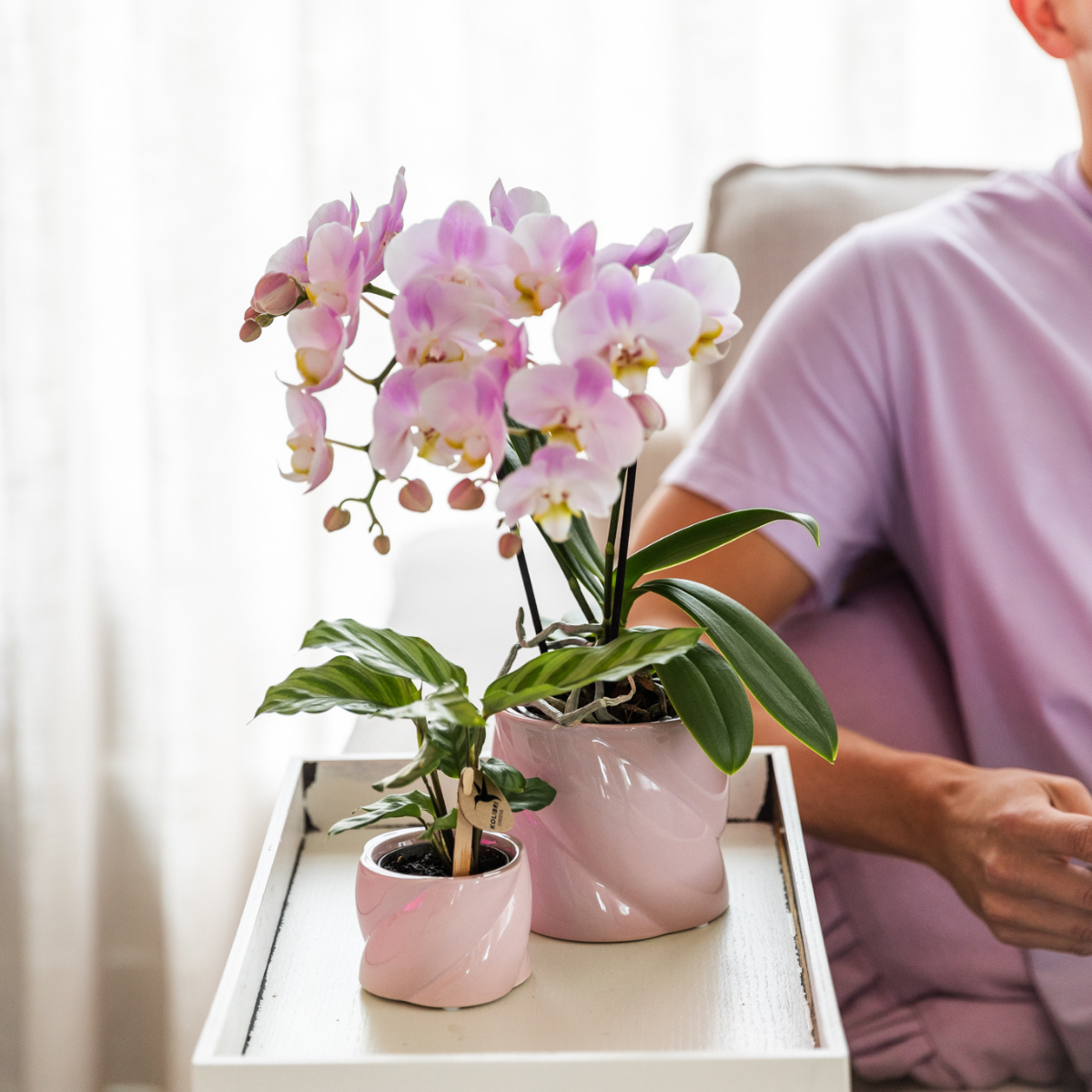 Roze Candy bloempot voor orchidee – keramische sierpot Ø9 cm