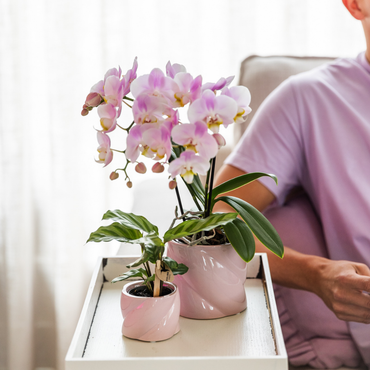 Roze Candy bloempot voor orchidee – keramische sierpot Ø9 cm