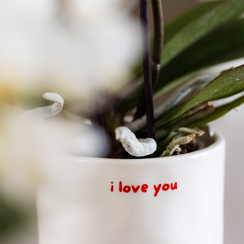 Witte I Love You bloempot voor orchidee – keramische sierpot Ø9 cm