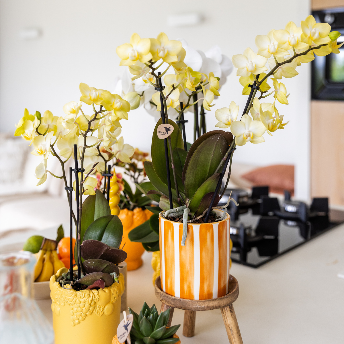 Oranje Painted Stripe bloempot voor orchidee – keramische sierpot Ø9 cm