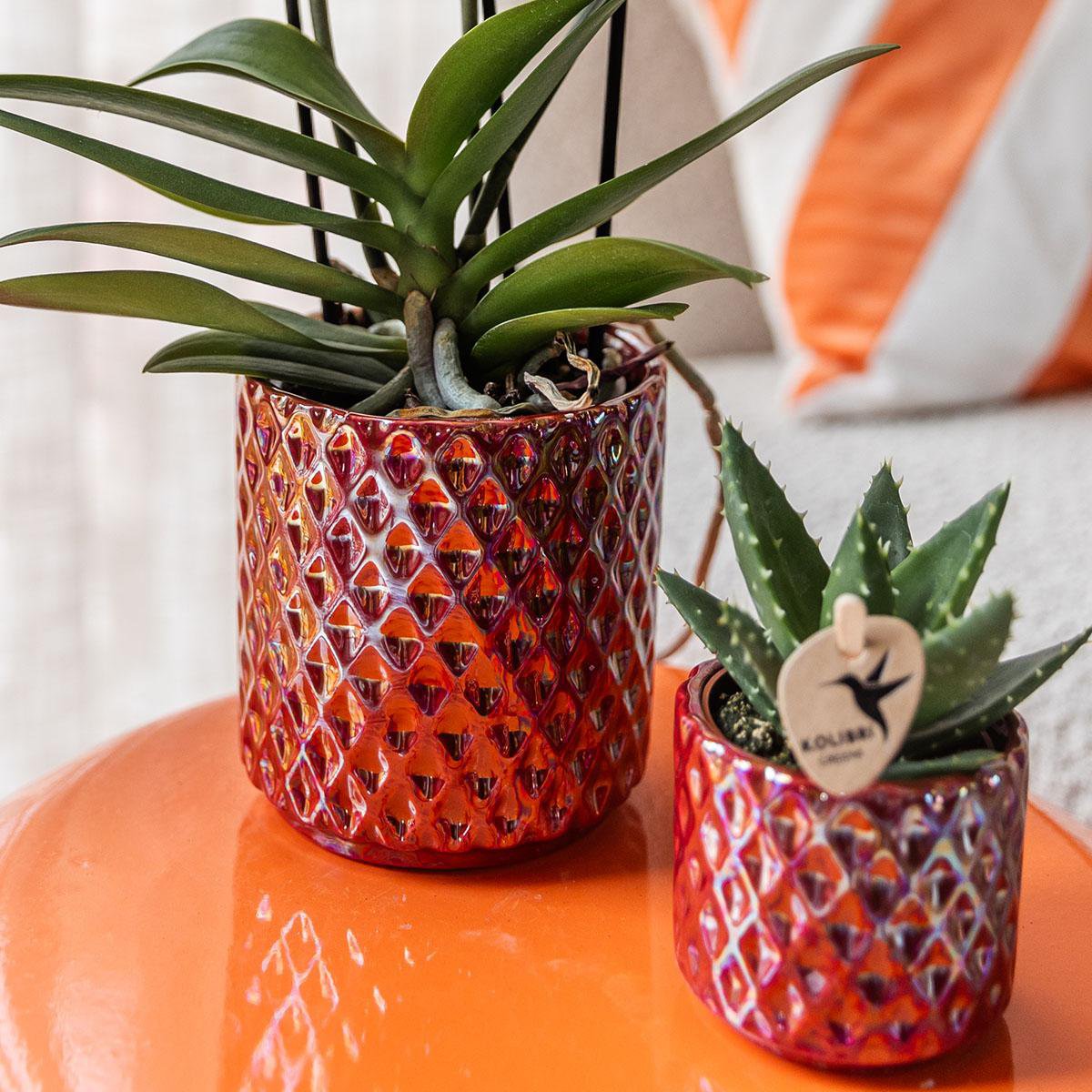 Rode Diamond Pearl bloempot voor orchidee – keramische sierpot Ø9 cm