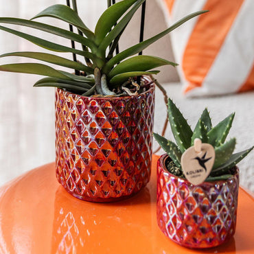 Rode Diamond Pearl bloempot voor orchidee – keramische sierpot Ø9 cm