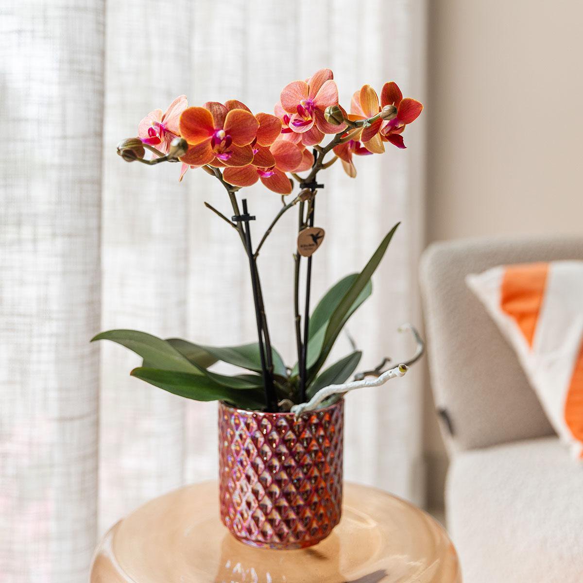 Rode Diamond Pearl bloempot voor orchidee – keramische sierpot Ø9 cm