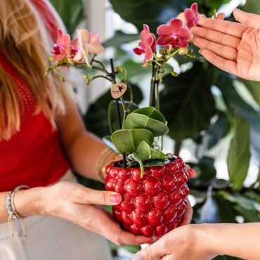 Rode Berry bloempot voor orchidee – keramische sierpot Ø9 cm