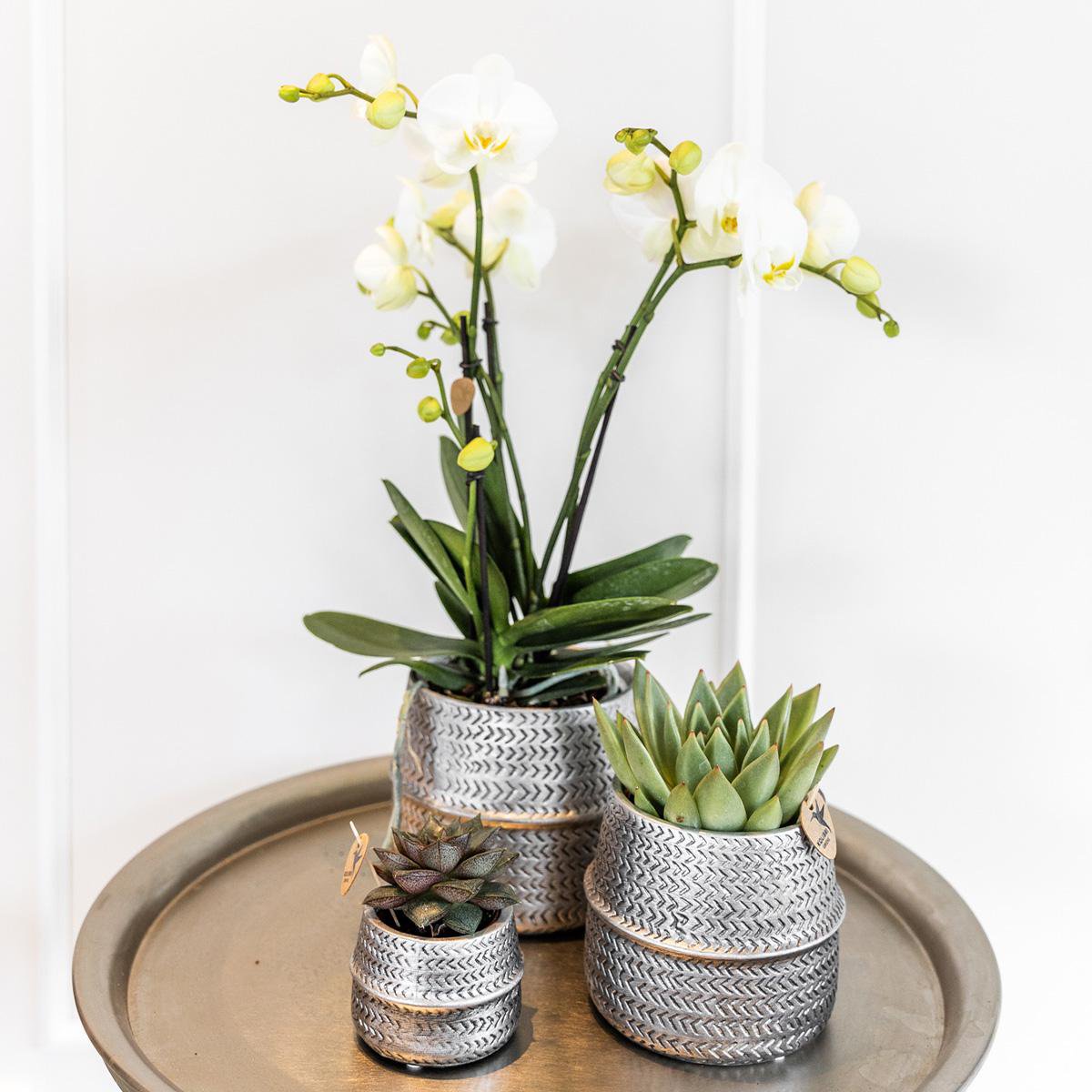 Zilveren Groove bloempot voor orchidee – keramische sierpot Ø9 cm