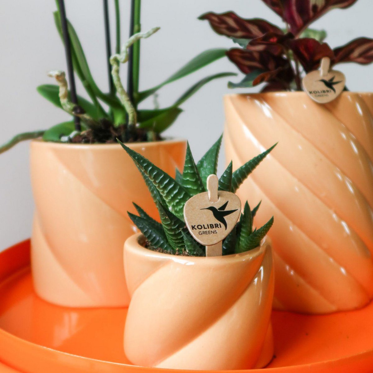 Perzikkleurige Candy bloempot voor orchidee – keramische sierpot Ø9 cm