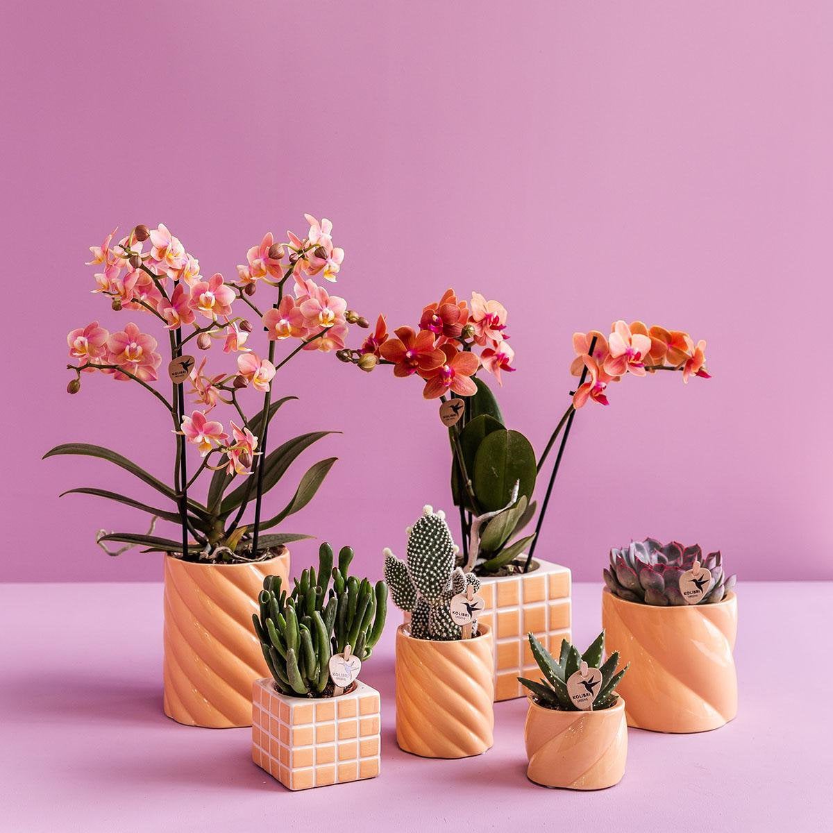Perzikkleurige Candy bloempot voor orchidee – keramische sierpot Ø9 cm