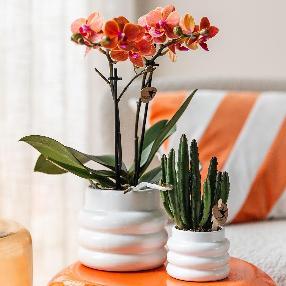 Witte Bubble bloempot voor orchidee – keramische sierpot Ø9 cm