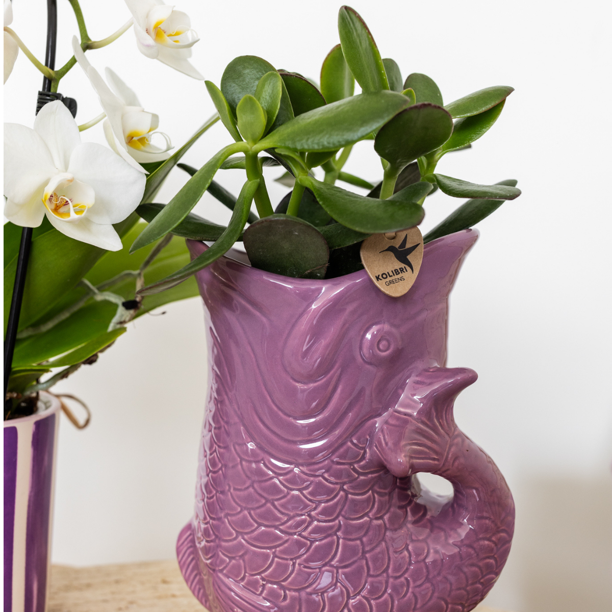 Lila Fish bloempot voor orchidee – keramische sierpot Ø9 cm