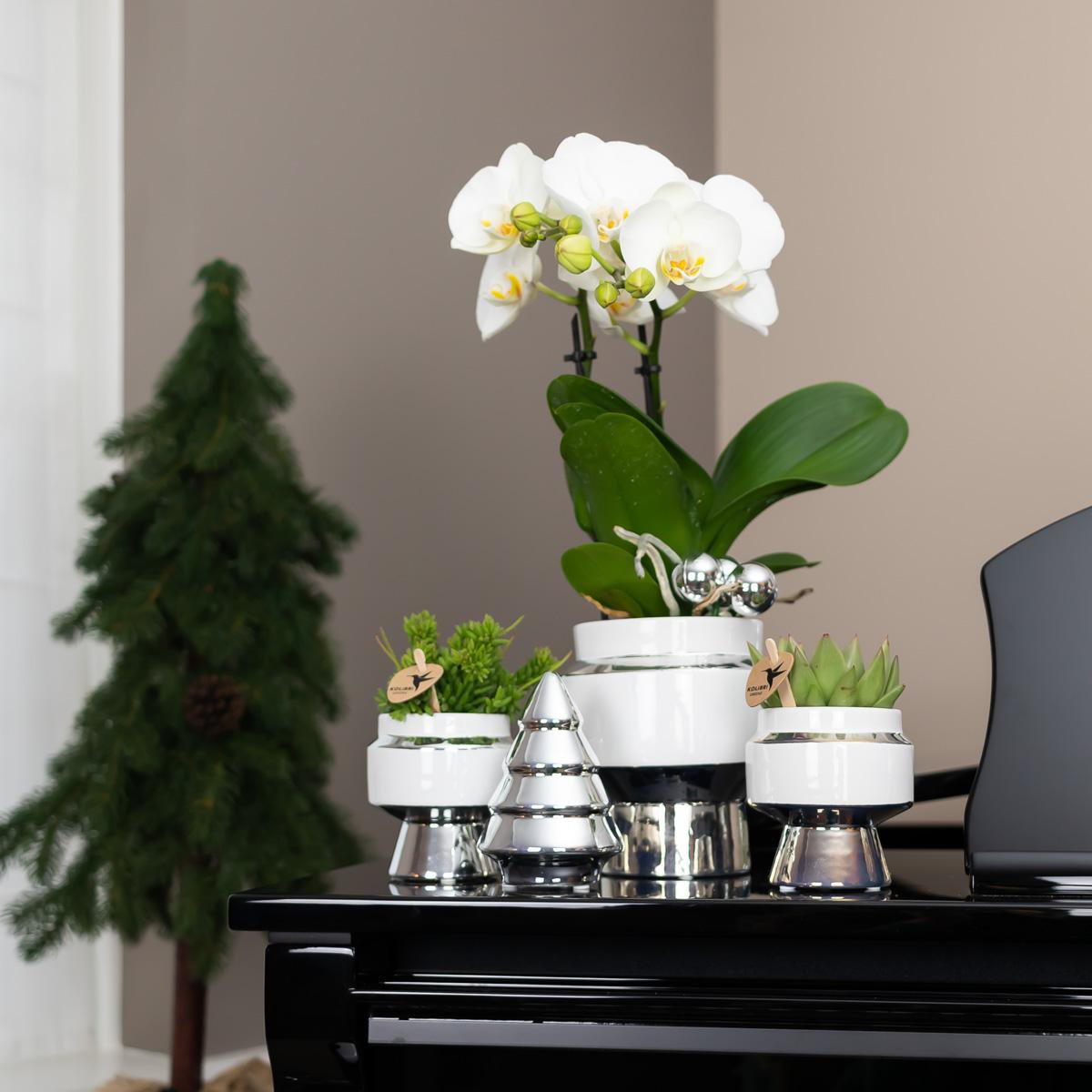 Witte Le Chic bloempot voor orchidee – keramische sierpot Ø9 cm