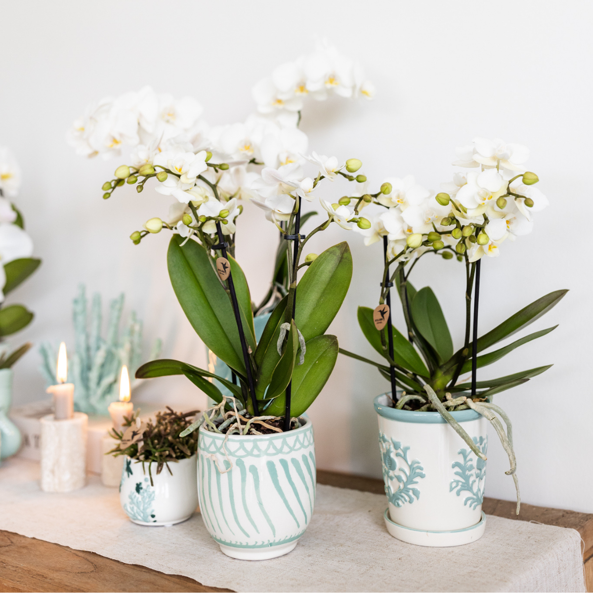 Turquoise Malaga bloempot voor orchidee – keramische sierpot Ø9 cm