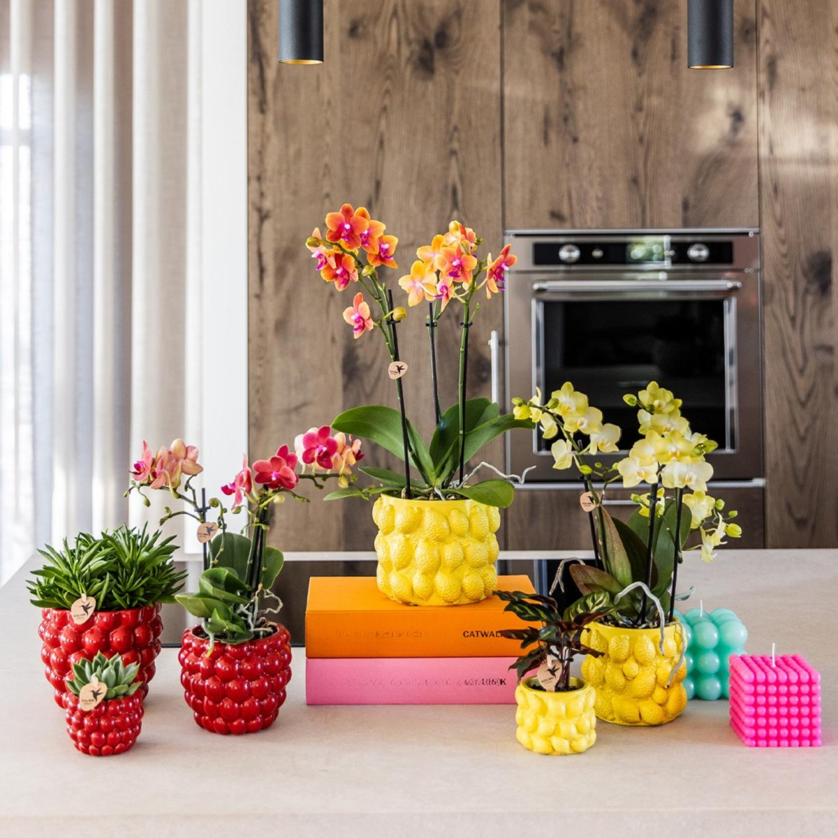 Rode Berry bloempot voor orchidee – keramische sierpot Ø12 cm