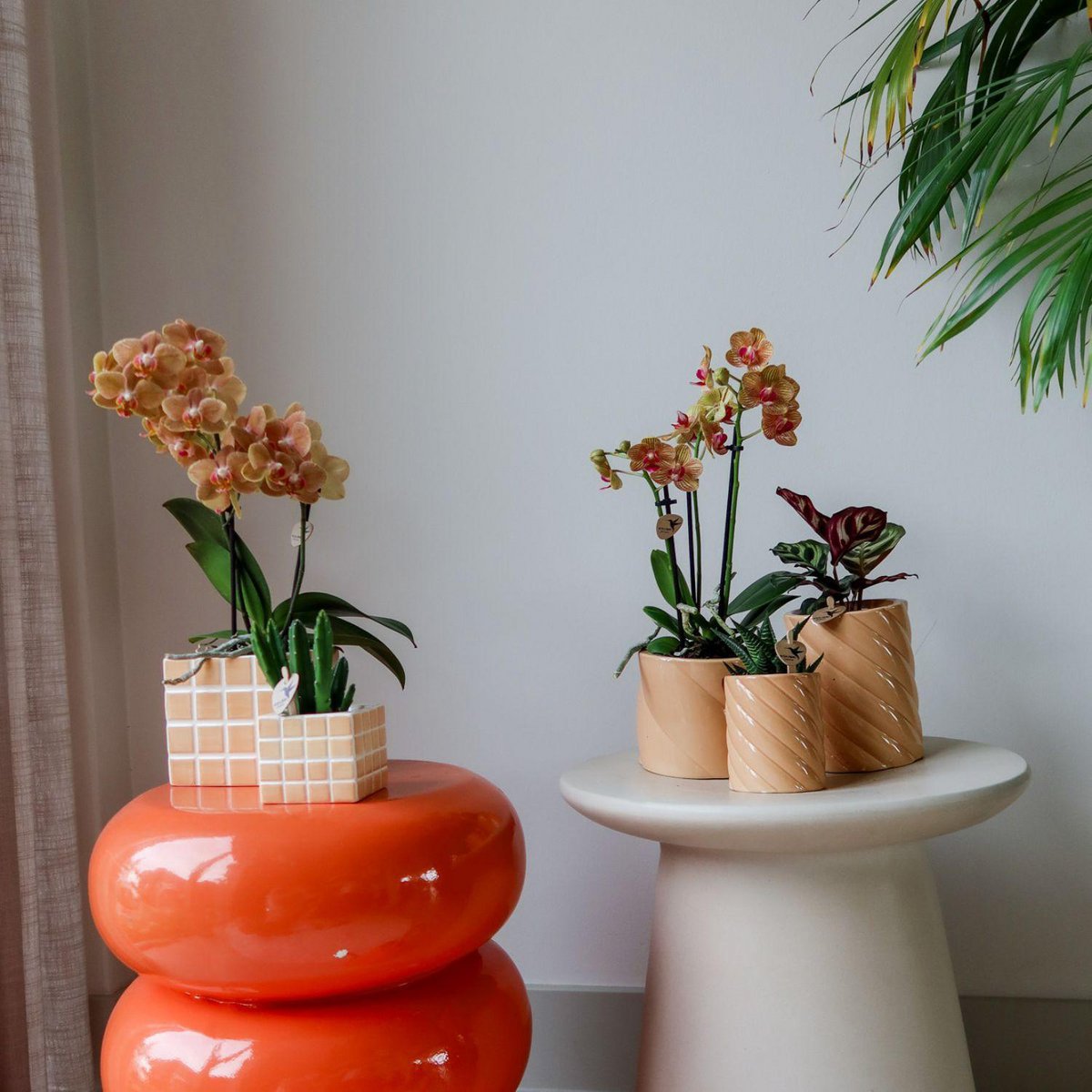 Perzikkleurige Candy bloempot voor orchidee – keramische sierpot Ø9 cm