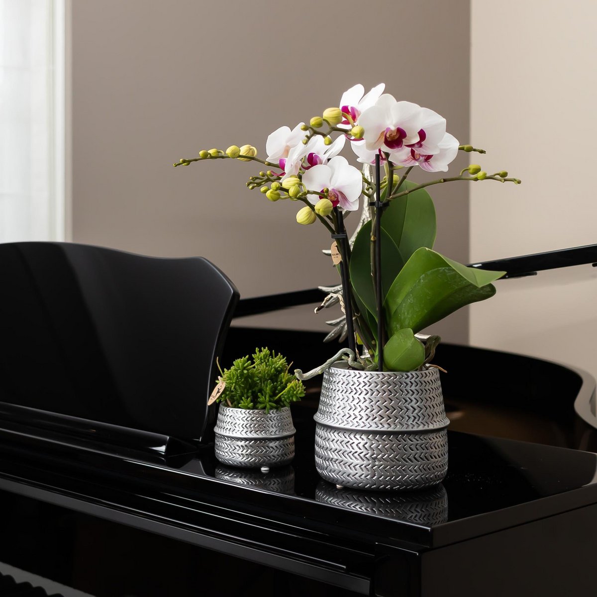 Zilveren Groove bloempot voor orchidee – keramische sierpot Ø9 cm