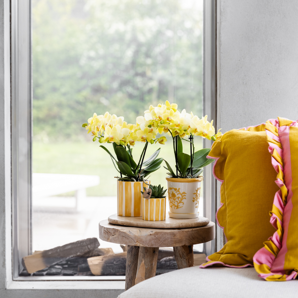 Gele Painted Stripe bloempot voor orchidee – keramische sierpot Ø9 cm