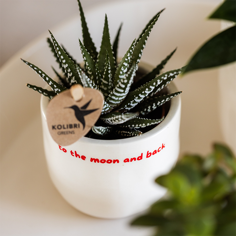 Witte To the Moon and Back bloempot voor orchidee – keramische sierpot Ø9 cm