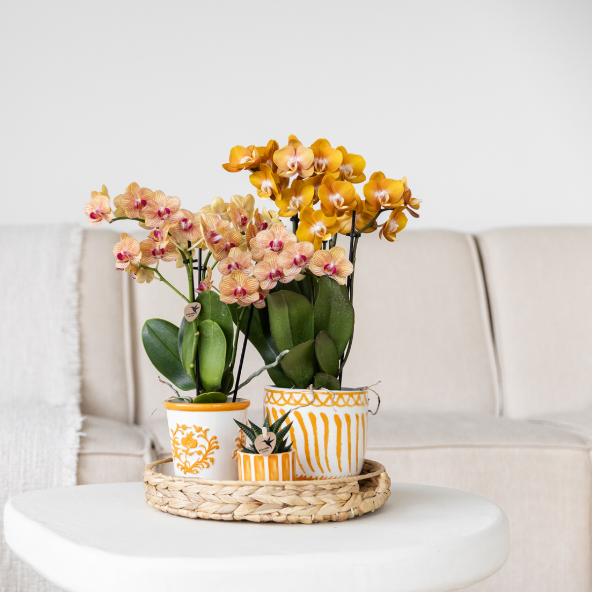 Oranje Malaga bloempot voor orchidee – keramische sierpot Ø9 cm