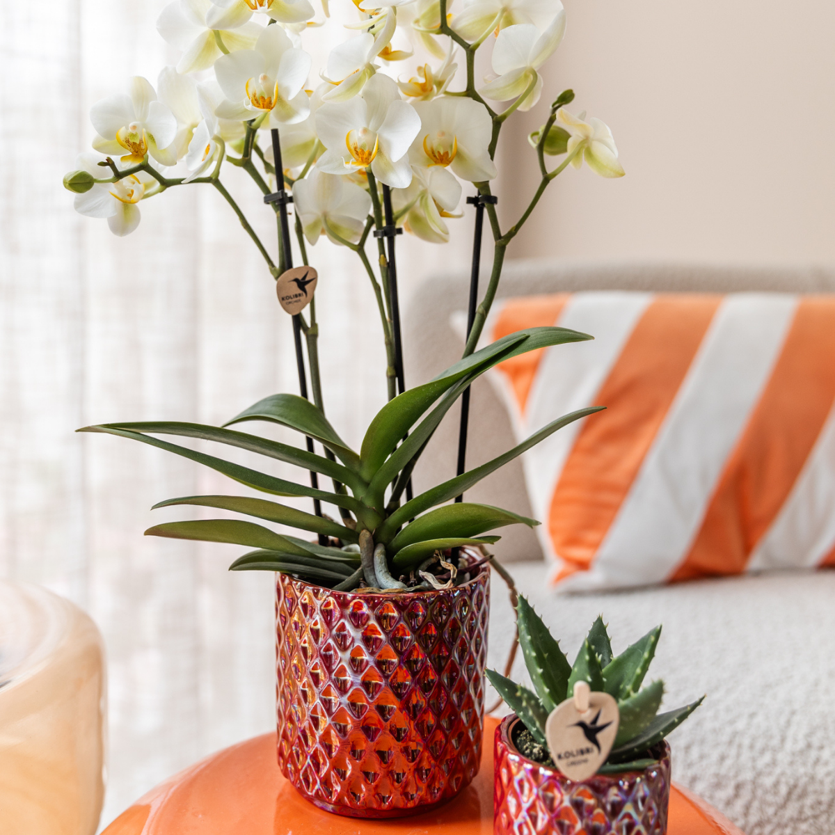 Rode Diamond Pearl bloempot voor orchidee – keramische sierpot Ø9 cm