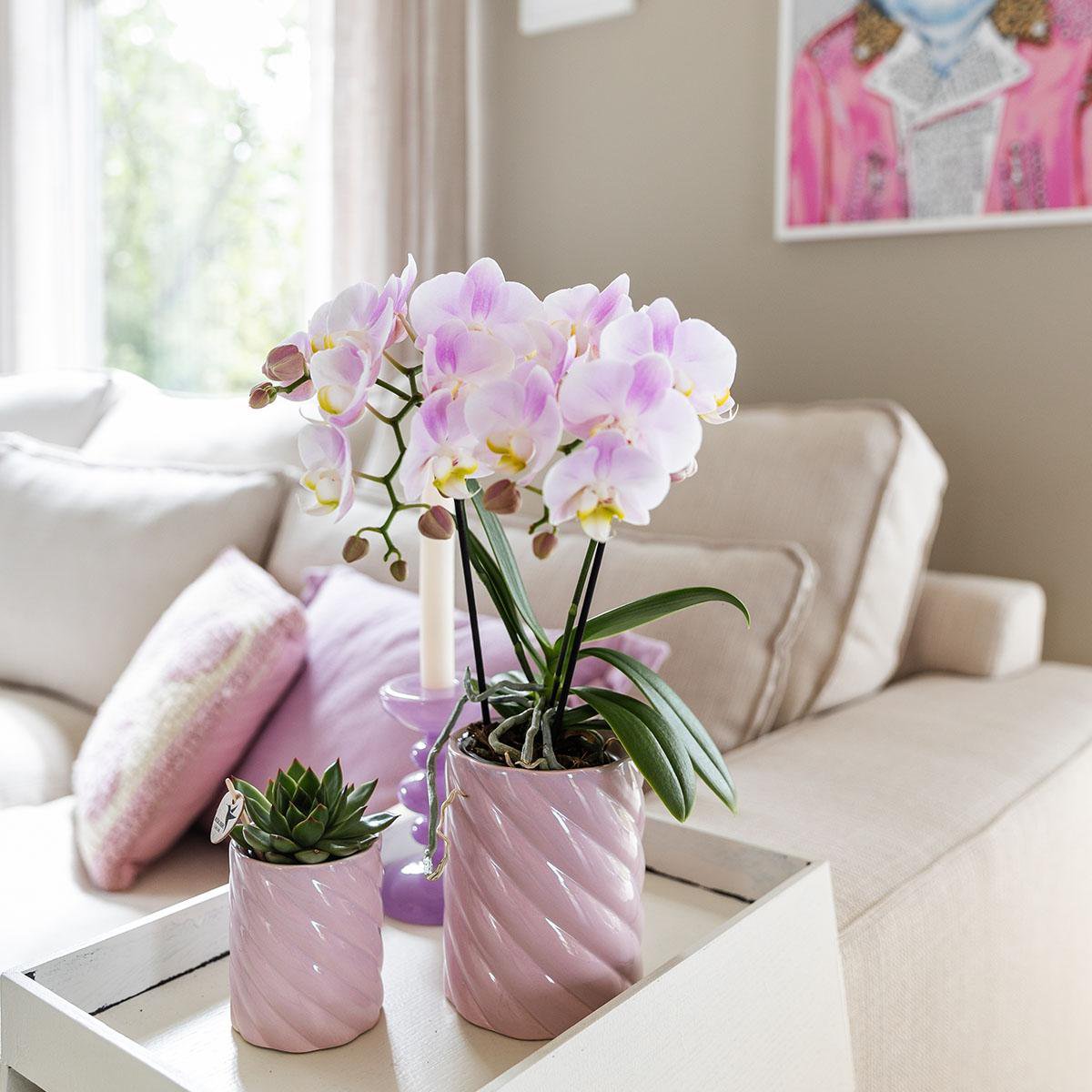 Roze Candy bloempot voor orchidee – hoge keramische sierpot Ø9 cm