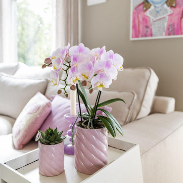 Roze Candy bloempot voor orchidee – hoge keramische sierpot Ø9 cm