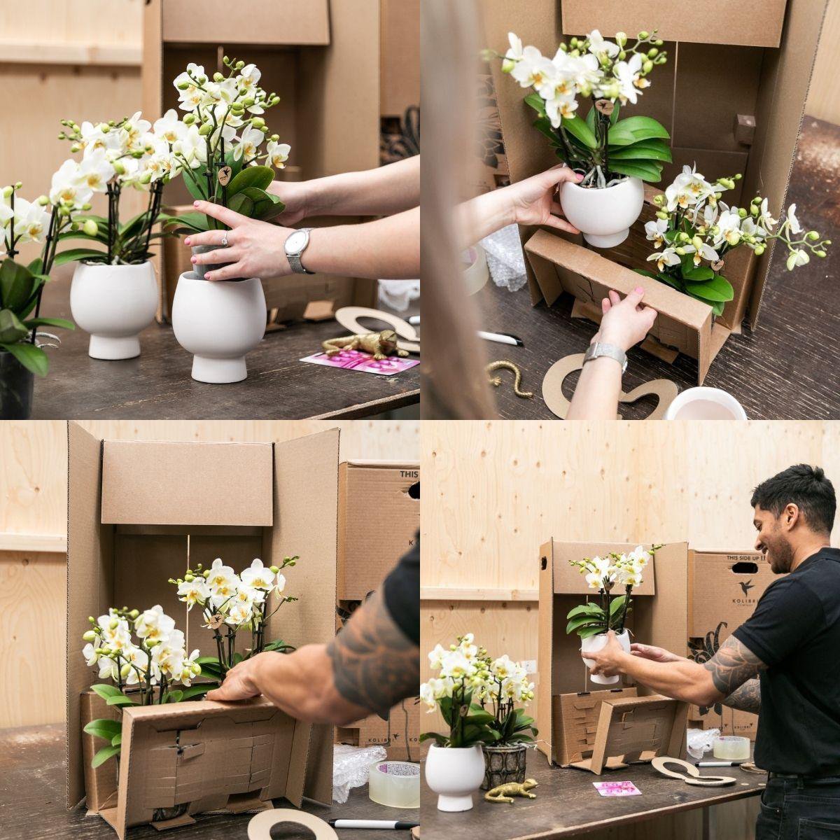 Witte Bowl bloempot voor orchidee – keramische sierpot Ø9 cm