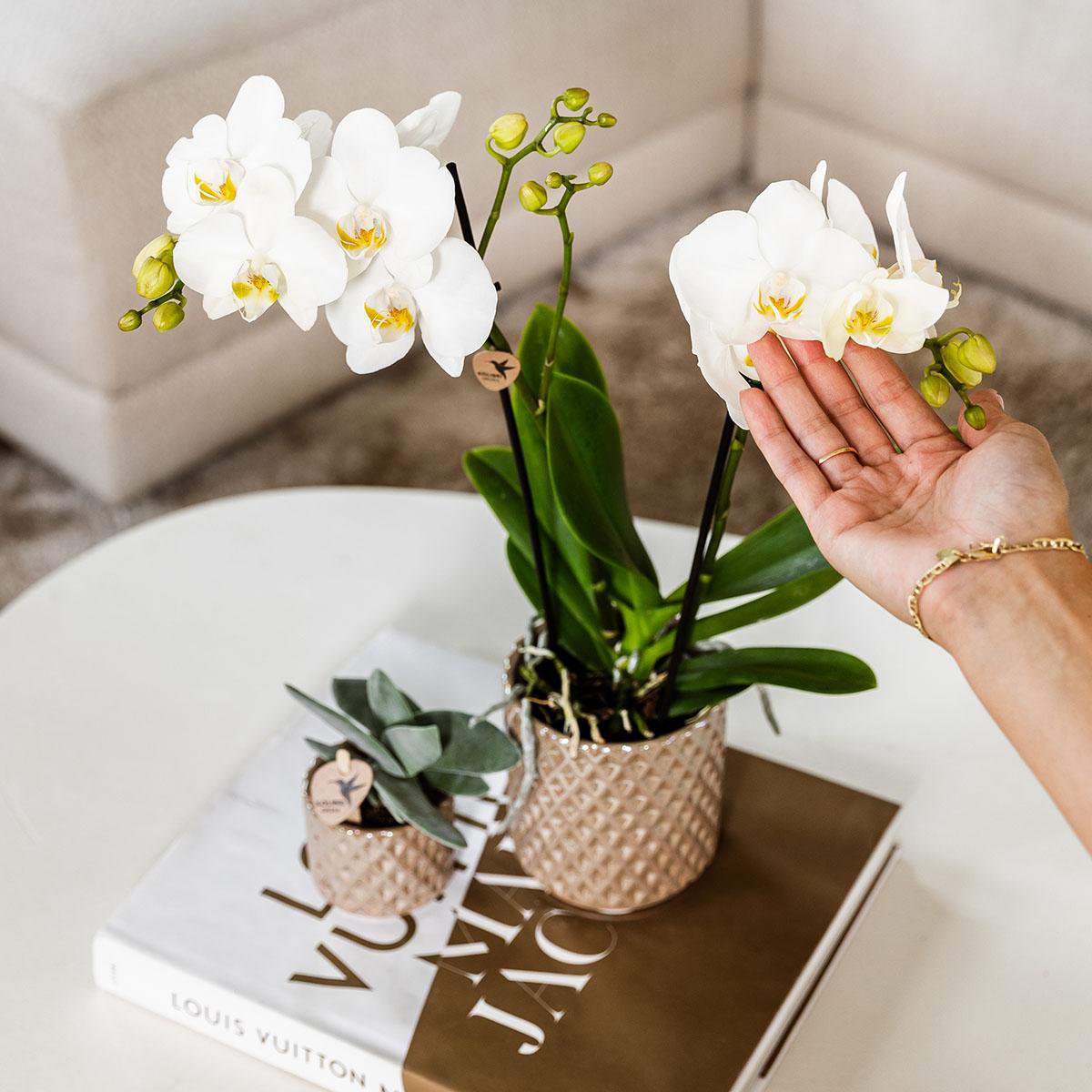 Zandkleurige Diamond Pearl bloempot voor orchidee – keramische sierpot Ø9 cm
