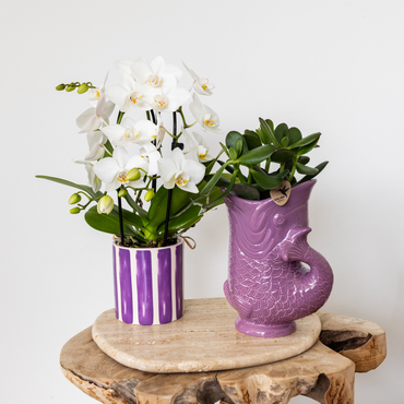 Lila Fish bloempot voor orchidee – keramische sierpot Ø9 cm