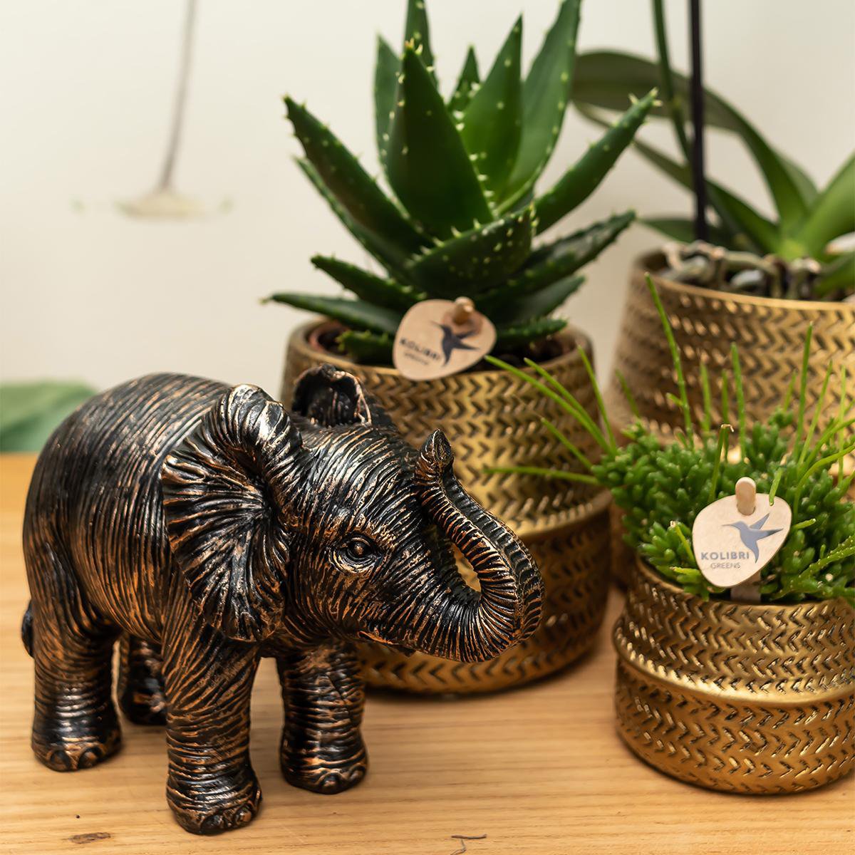 Gouden Groove bloempot voor orchidee – keramische sierpot Ø12 cm
