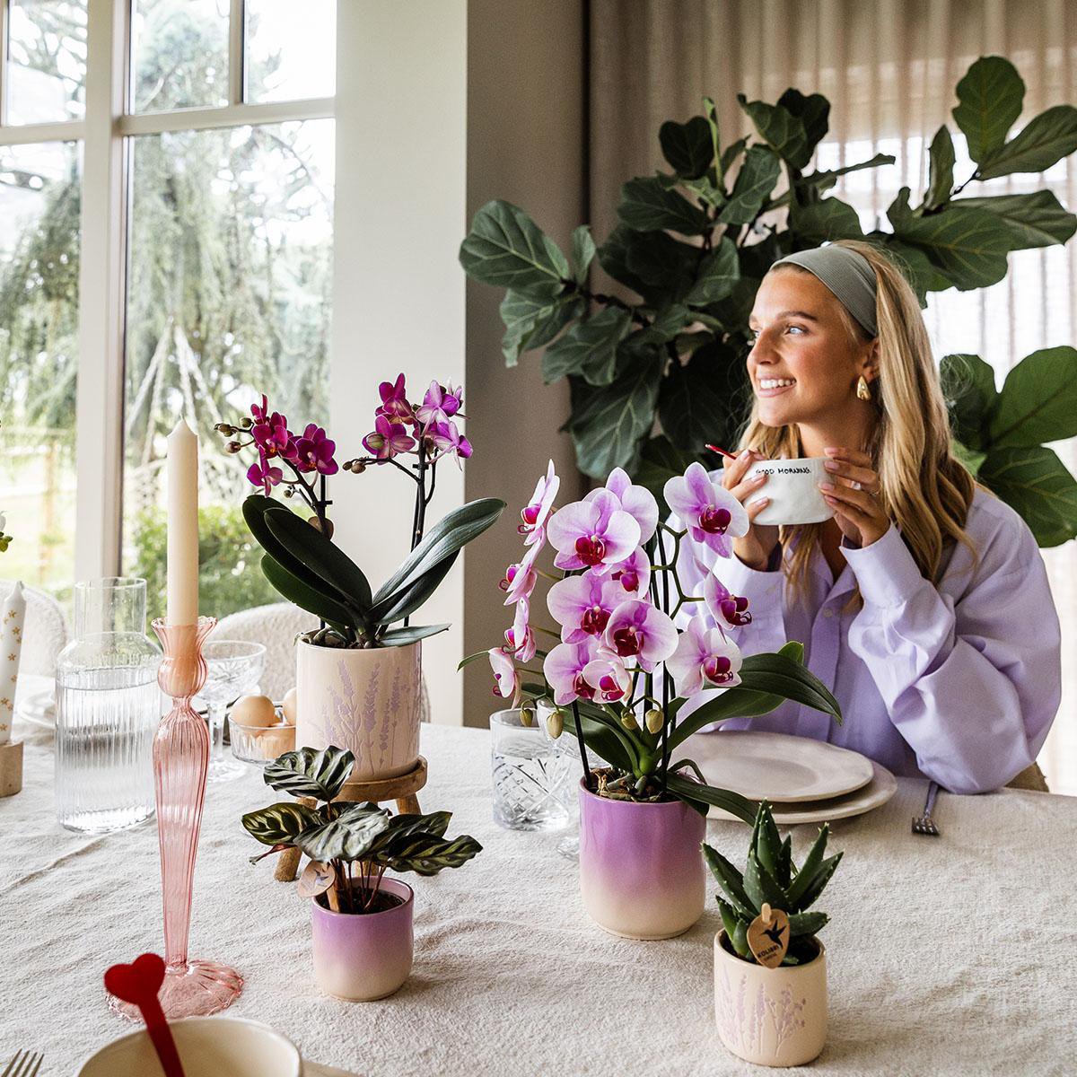 Roze Gradience bloempot voor orchidee – keramische sierpot Ø9 cm