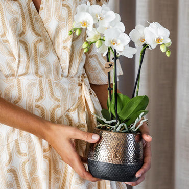 Koperen Elite bloempot voor orchidee – keramische sierpot Ø9 cm