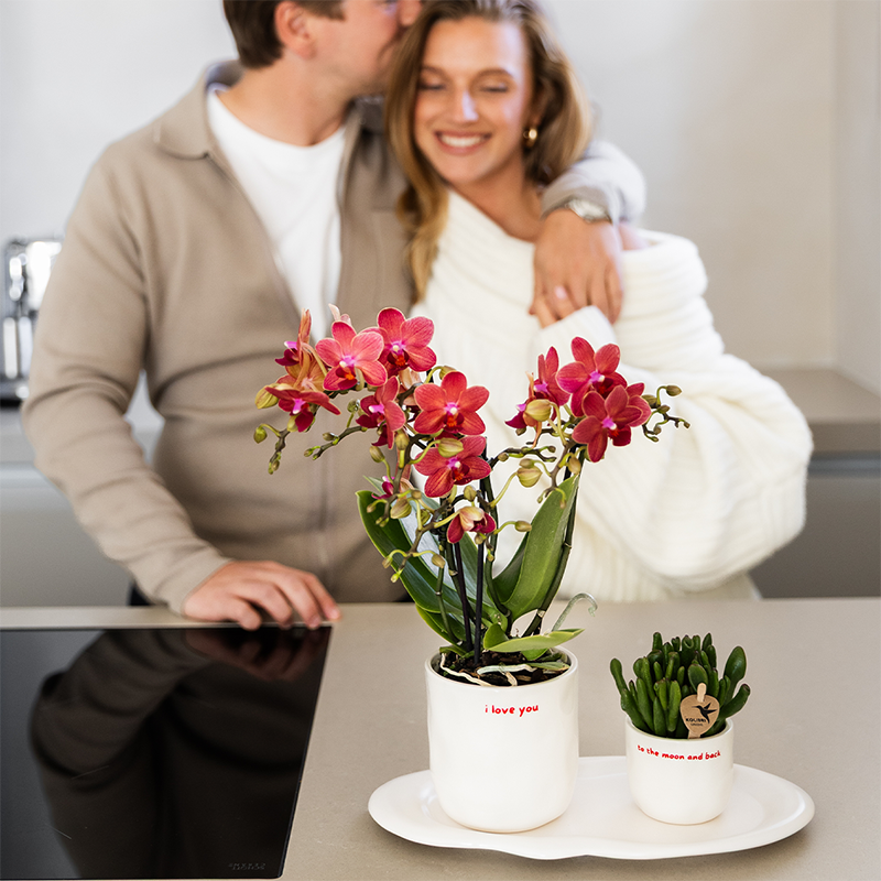 Witte To the Moon and Back bloempot voor orchidee – keramische sierpot Ø9 cm