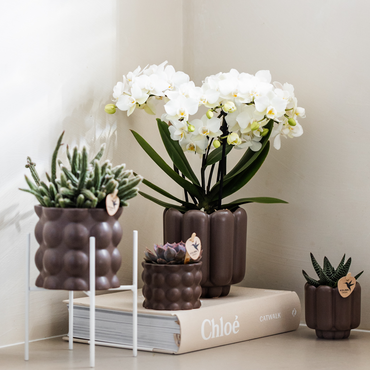 Bruine Retro bloempot voor orchidee – keramische sierpot Ø9 cm