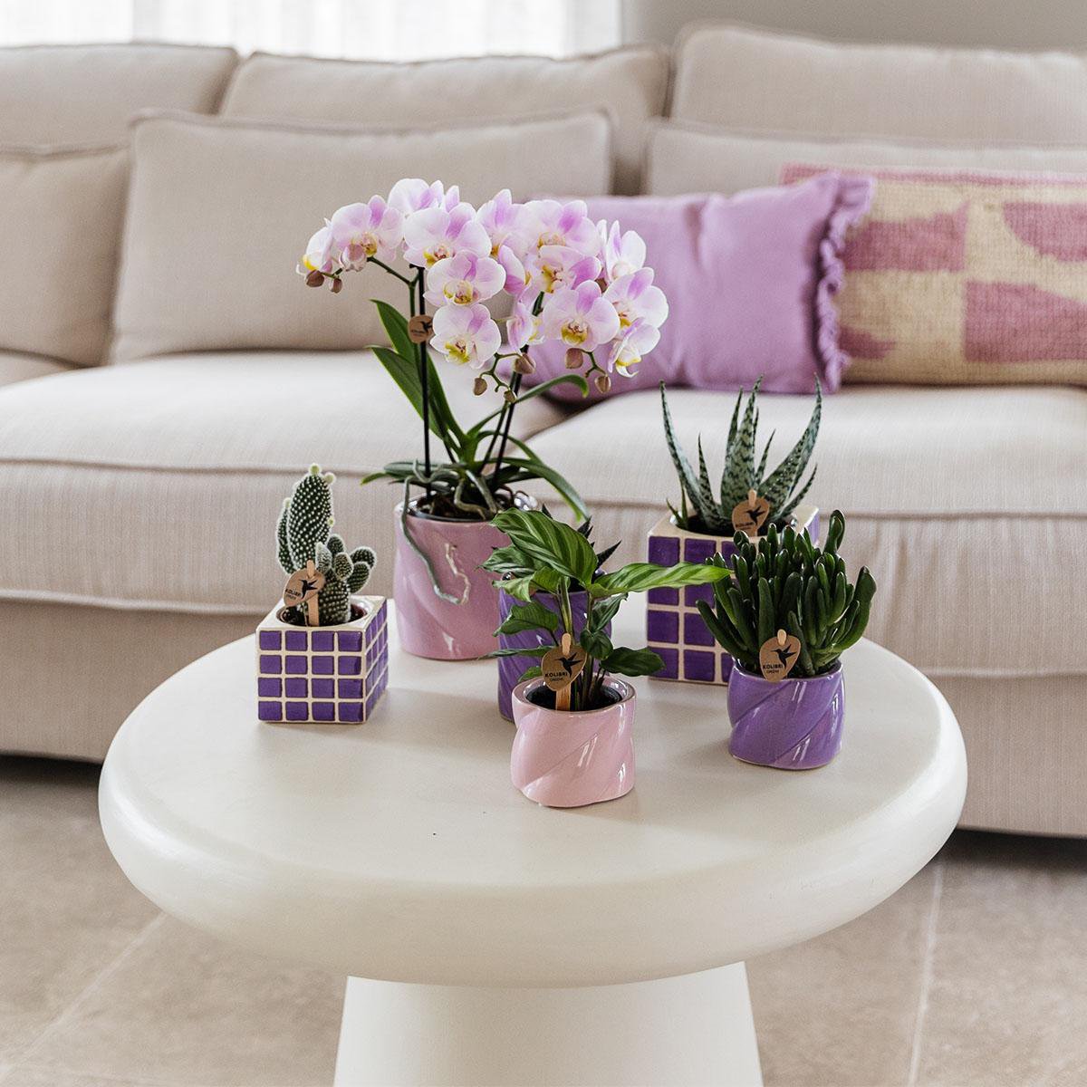 Roze Candy bloempot voor orchidee – keramische sierpot Ø9 cm