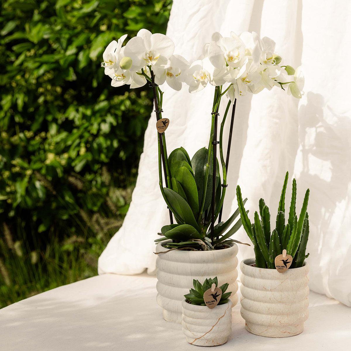 Marble Light bloempot voor orchidee – keramische sierpot Ø9 cm