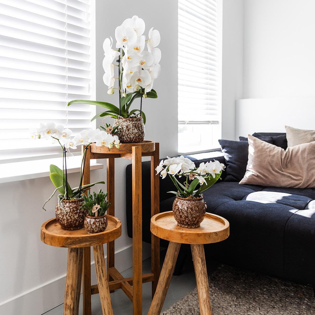 Safari bloempot voor orchidee – keramische sierpot Ø12 cm