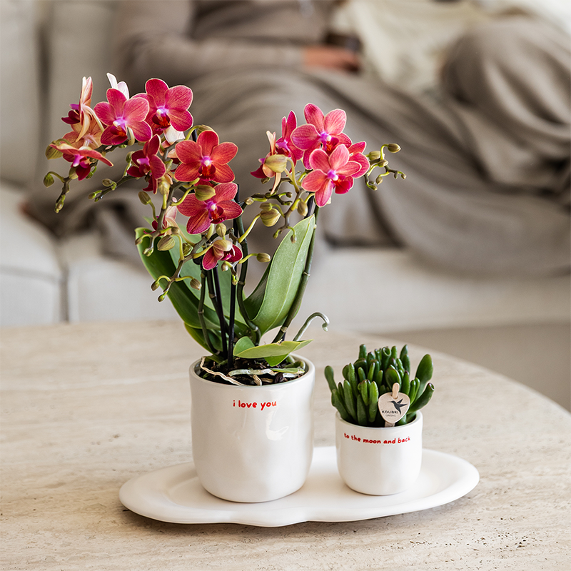 Witte I Love You bloempot voor orchidee – keramische sierpot Ø9 cm