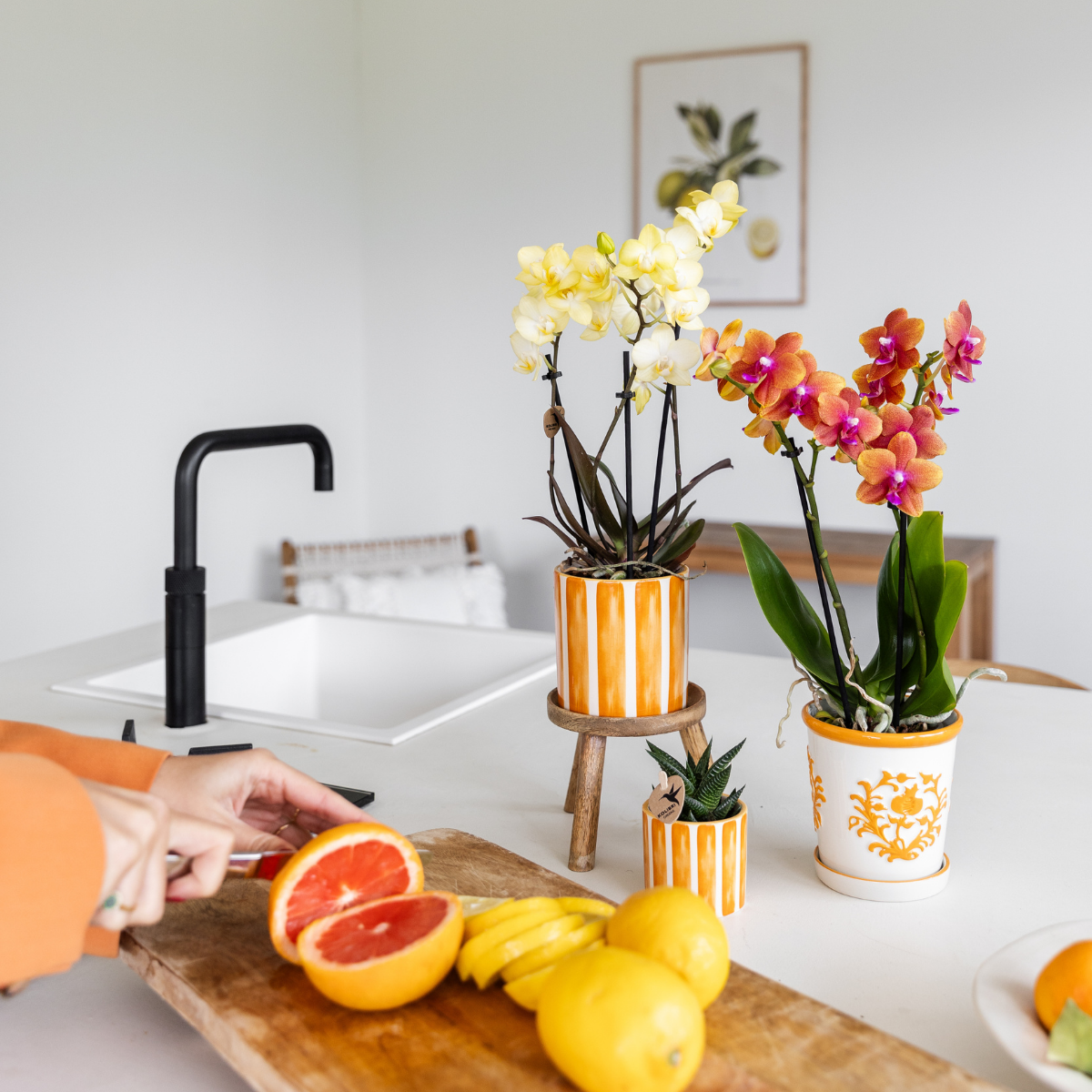 Oranje Painted Stripe bloempot voor orchidee – keramische sierpot Ø9 cm