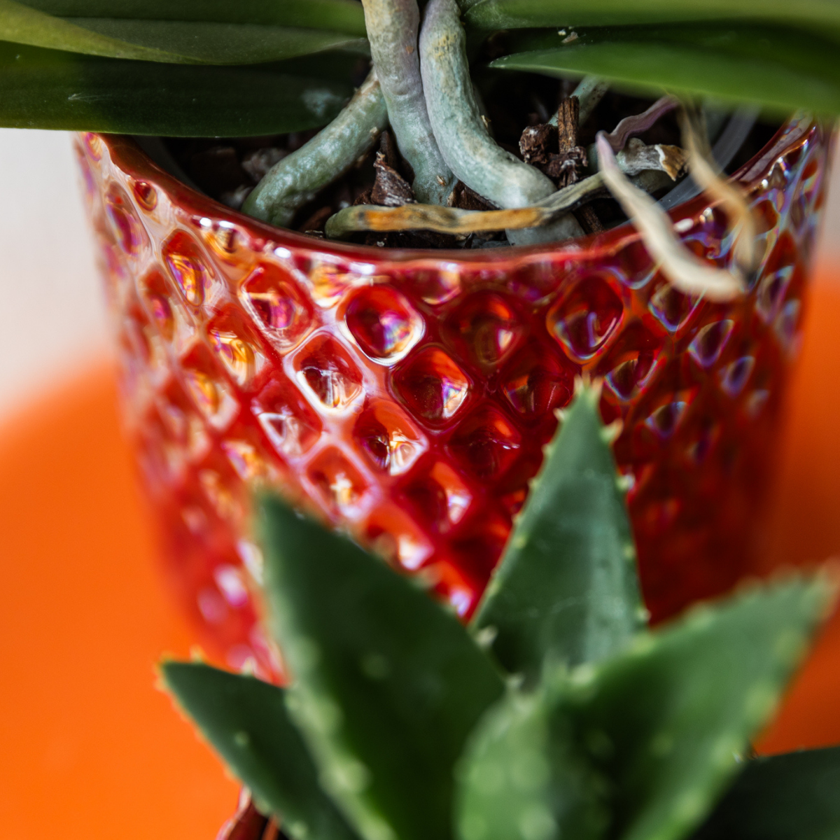Rode Diamond Pearl bloempot voor orchidee – keramische sierpot Ø9 cm