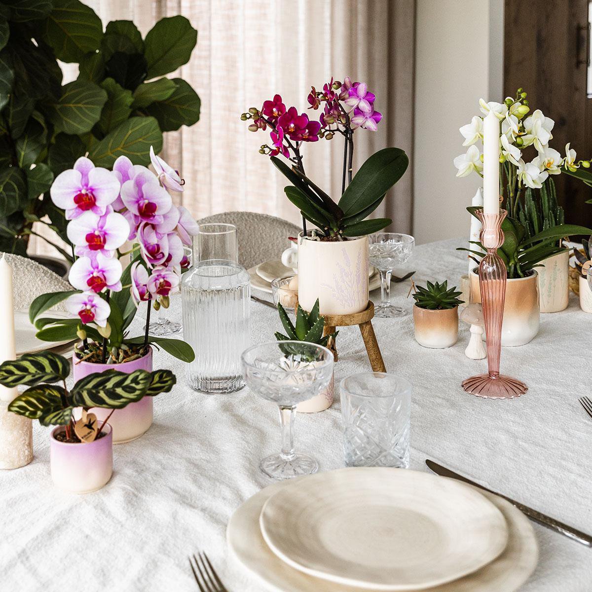 Paarse Gradience bloempot voor orchidee – keramische sierpot Ø9 cm