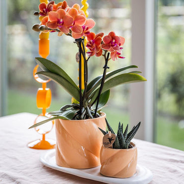 Perzikkleurige Candy bloempot voor orchidee – keramische sierpot Ø9 cm