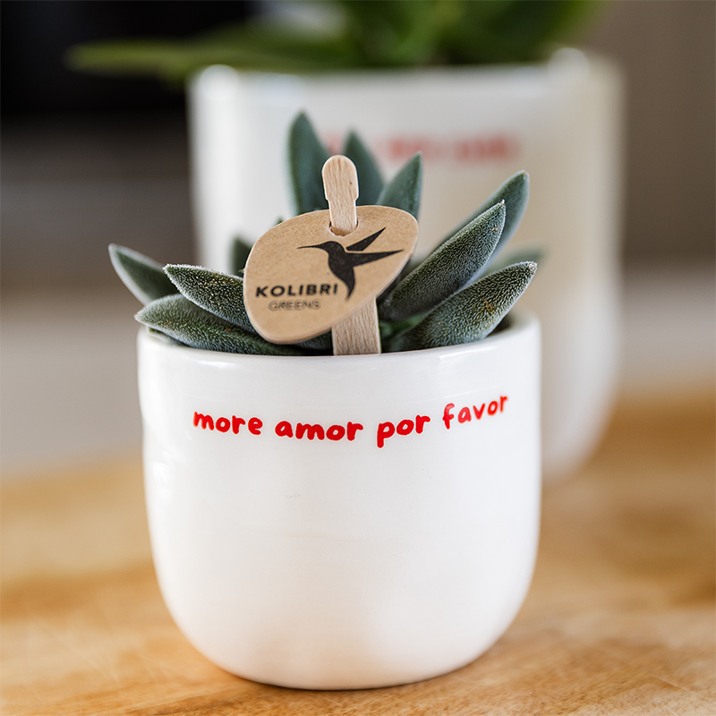 Witte To the Moon and Back bloempot voor orchidee – keramische sierpot Ø9 cm