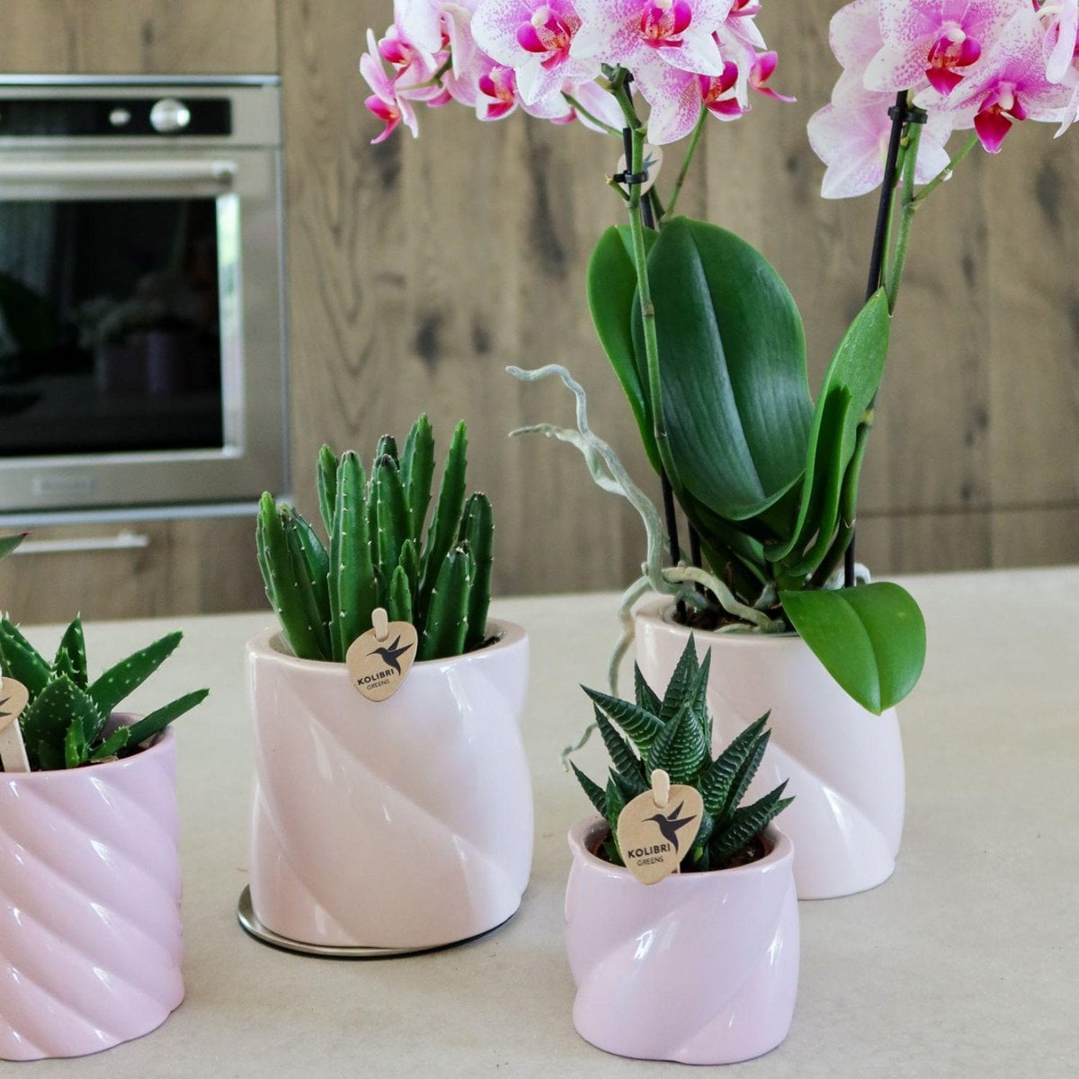 Roze Candy bloempot voor orchidee – keramische sierpot Ø9 cm