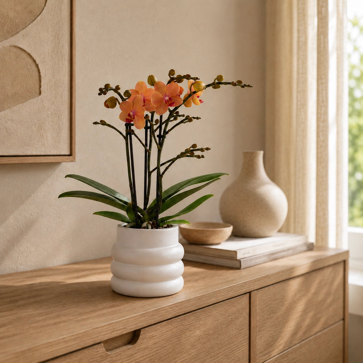 Oranje Phalaenopsis orchidee ‘Bolzano’ met Bubble sierpot – Ø9 cm