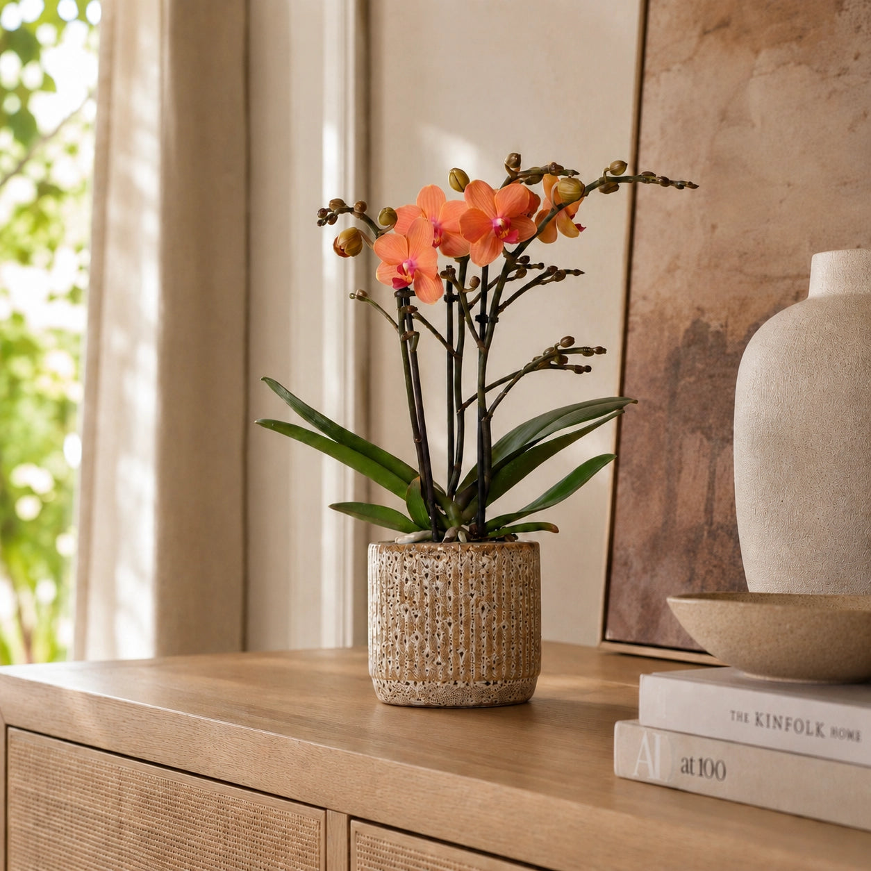 Oranje Phalaenopsis orchidee ‘Bolzano’ met Jaguar sierpot – Ø9 cm